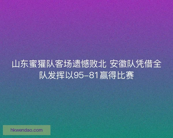 山东蜜獾队客场遗憾败北 安徽队凭借全队发挥以95-81赢得比赛